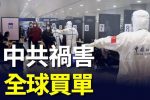 香港希望之聲