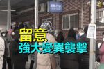 香港希望之聲 香港希望之聲