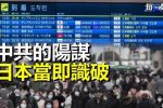 香港希望之聲 香港希望之聲