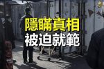 香港希望之聲 香港希望之聲