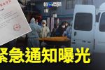 香港希望之聲 香港希望之聲