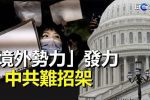 香港希望之聲