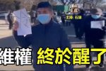 香港希望之聲 香港希望之聲