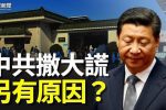 香港希望之聲