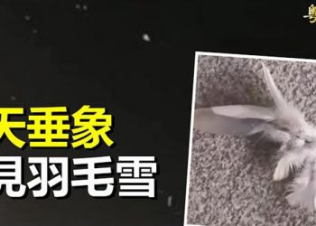 【粵覽新聞】學者：2023年將是大變開端；宋濤掌台辦 學者：非一般安排  主播：黃曉翔 林詩明