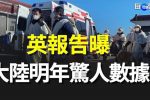 香港希望之聲
