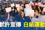 香港希望之聲 香港希望之聲