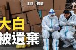 香港希望之聲 香港希望之聲