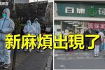 香港希望之聲
