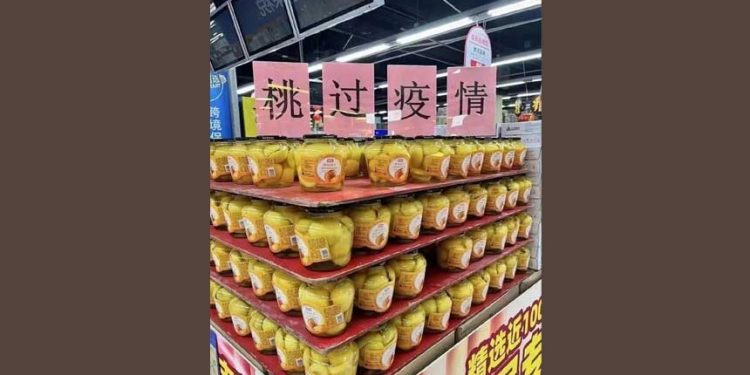 黃桃罐頭被熱炒 連花清瘟內幕被挖(圖片:新黃河/希望之聲合成)