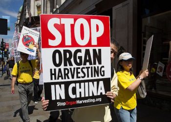 國際人權日 台立委呼籲一特殊立法