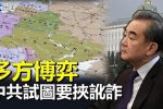 香港希望之聲