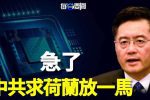 香港希望之聲