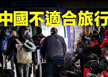 【粵覽新聞】張文宏爆料：大範圍感染正在發生；德外交部警告：中國不適合旅行  主播：黃曉翔  婉兒 
