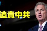 香港希望之聲