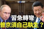 香港希望之聲