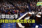 香港希望之聲