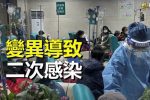 香港希望之聲 香港希望之聲