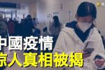 香港希望之聲