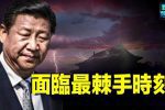 香港希望之聲