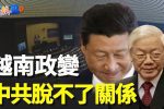 香港希望之聲