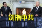 香港希望之聲 香港希望之聲