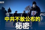 香港希望之聲