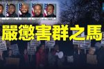 香港希望之聲