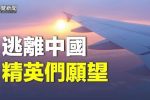 香港希望之聲
