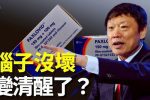 香港希望之聲