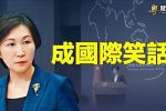 香港希望之聲