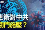 香港希望之聲