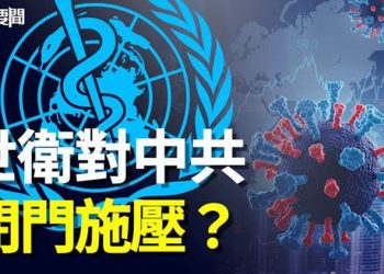 【每日要聞】世衛向中共索要真實報告 美國淡定回應中共發飆；歐盟27國不滿爆發 壓倒性讚同對中國入境圍堵 主播：鍾嘉慧  