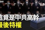 香港希望之聲