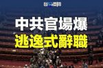 香港希望之聲