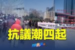 香港希望之聲 香港希望之聲