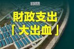香港希望之聲 香港希望之聲