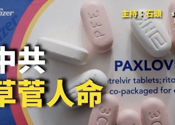 【頭頭是道】視人命 為草芥…主持：石頭