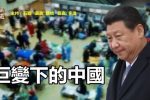 香港希望之聲