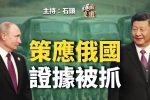 香港希望之聲 香港希望之聲
