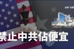 香港希望之聲