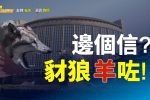 香港希望之聲