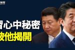 香港希望之聲