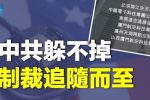 香港希望之聲