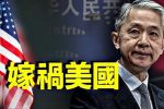 香港希望之聲 香港希望之聲