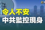 香港希望之聲