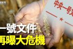 香港希望之聲