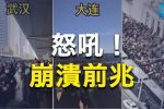 香港希望之聲 香港希望之聲