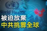 香港希望之聲 香港希望之聲