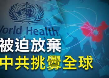 【粵覽新聞】權威披露：世衛放棄中共病毒起源調查；中共官員惹怒歐洲 外交部尷尬了 主播：林茵 婉兒